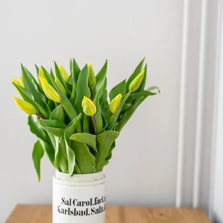 Stara Apteka בית הארחה