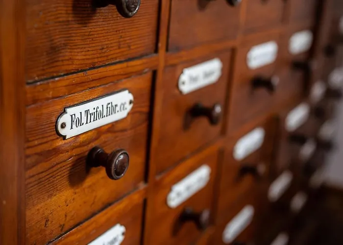 Stara Apteka Гостевой дом