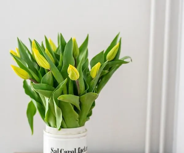 Stara Apteka Гостевой дом